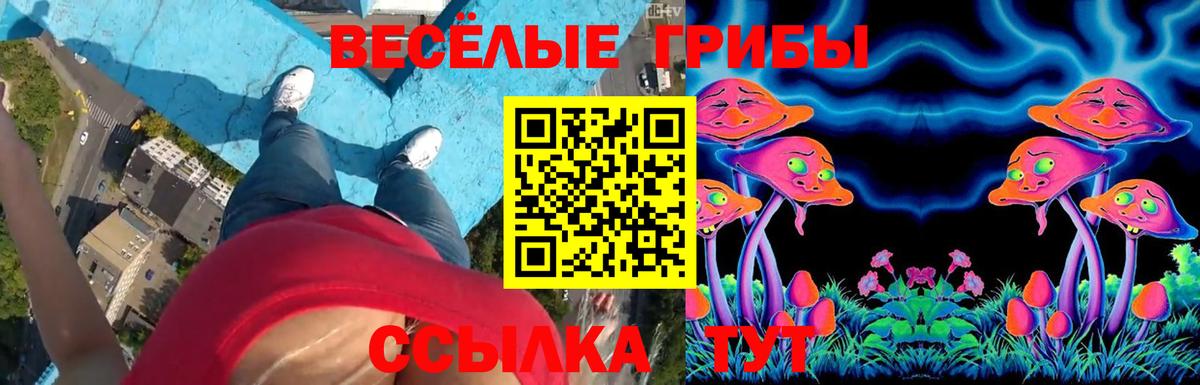 Галлюциногенные грибы прущие грибы  Вход с VPN  Наро-Фоминск 
